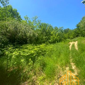 Солочин, Мукачівський, Закарпатська область 40000.0 USD