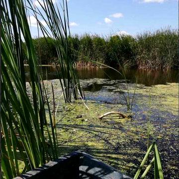 Продам Будинок на Березі Річки, Не дорого