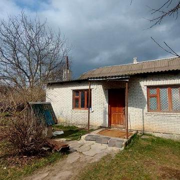 Продам будинок в с. Дружня з ділянкою 24 сотки