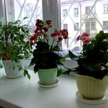 Продам:3-х к.кврайон,"АТБ",кирпичный дом,общ.66м