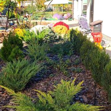 Сдам дом в оренду