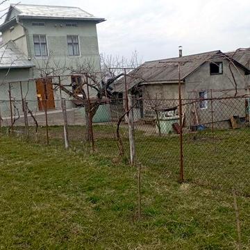 Продається житловий будинок з господарськими будівлями та спорудами