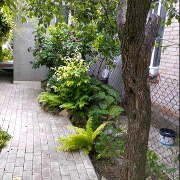 Здається будинок Шевченківський район