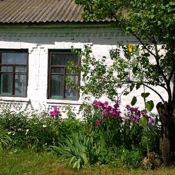 Продається будинок у с. Войтове
