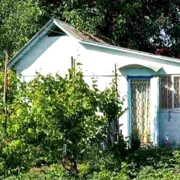 Продам дачу в СО Аист ( Богуслав )