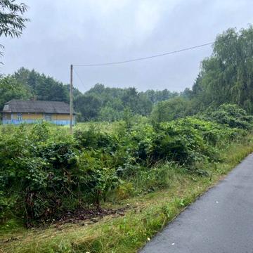 Ділянка 0,25 га, із будинком та господарськими приміщеннями