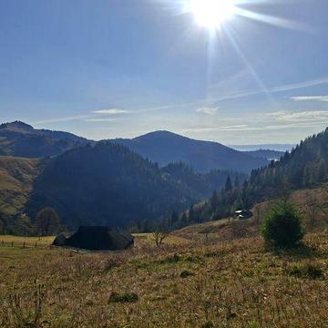 ‼️Продаеться будинок в Карпатах