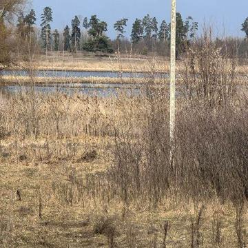 Садовий будинок у сосновому лісі ,річка, 0,61га приватизованої землі