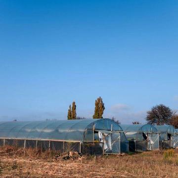 Продам небольшой домик с теплицами. В тихом районе.