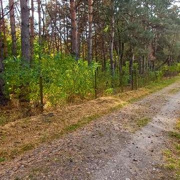 Будинок капітальний дача  біля лісу  С. Благодатне