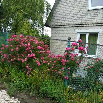 Продається затишна дача в с. Підгороднє (СТ «Діброва»)