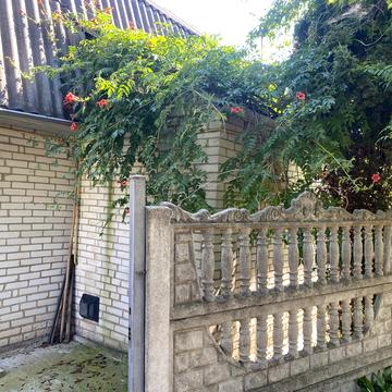 Володимирський пр, 24