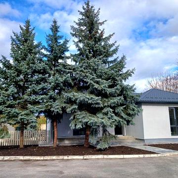 Будинок в КМ Канадське село - 110м2, 5 соток, ПІДВАЛ  - 147000уо!