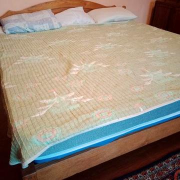 Паркова Алея, Тисменицька, Рінь