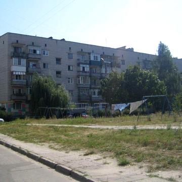 Здам в оренду квартиру в Каневі  для порядних людей