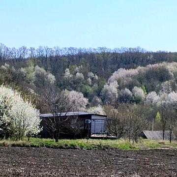 Будинок с. Карандинці