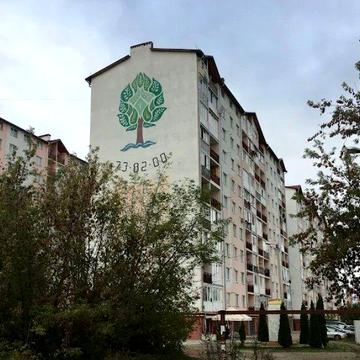 Пасічна, Целевича, річка поруч