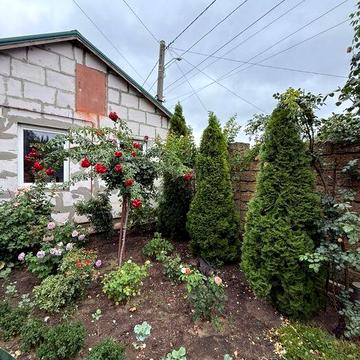 Сдаю 1 к ул Ядова 28/грушевского