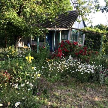 Продам дачу на Садах 4