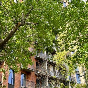 Однокомнатная квартира в ЖК Итака. ЖК Итака