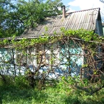 Здаю на літо дачу 15 км. від Києва, Глеваха,