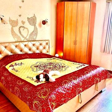 Будинок окремий,  закритий двір.