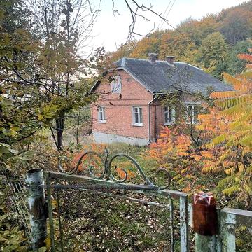 Будинок біля лісу ділянка 25 сотик