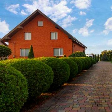 Продаж доброго будинку з великою ділянкою