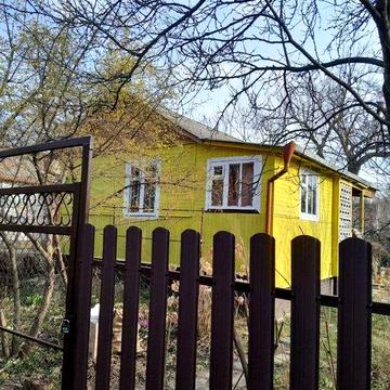 Дача на лiто, заiзд для авто, газ\плита з балоном, вода в дворi. Ялинка.