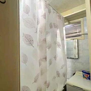 Здається 2х кімнатна в центрі.  Можна від Місяця. Без дод.доплат