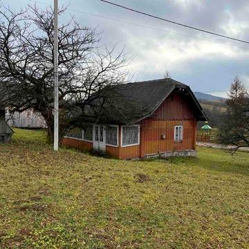 Будинок в Карпатах