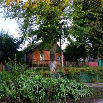 Продам дом и сарай Пирятин!