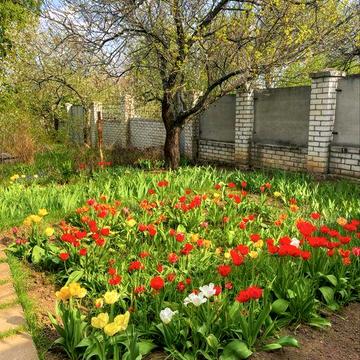 Продам полдома в Рай-Еленовке