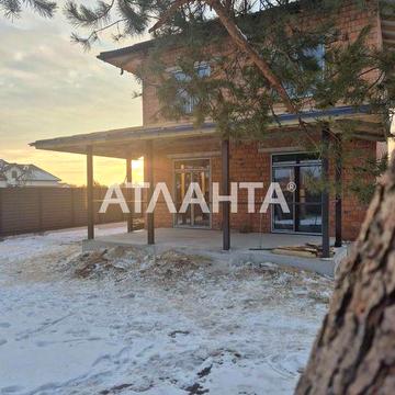 Продаж будинку в с. Бірки з неймовірними дорослими соснами