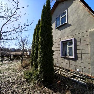 Дача в Березанці