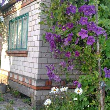 Земельна ділянка