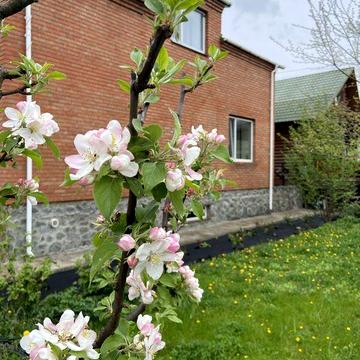 Оренда подобово та  довготривалий термін 1.05.2026