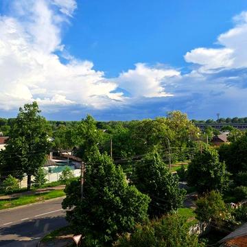 Здам однокімнатну квартиру Політех
