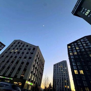 Квартира ЖК Парадайз Авеню