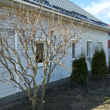 Двух этажный дом на два входа