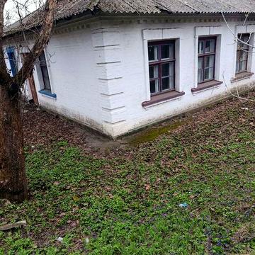 Квартира (частина будинку)