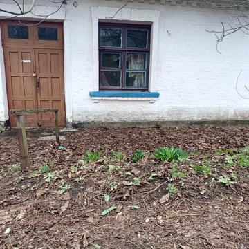 Квартира (частина будинку)