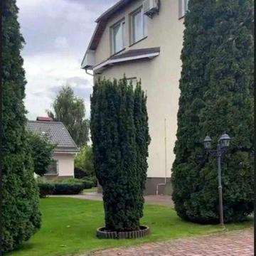 Продаж. Просторий будинок у Стоянці