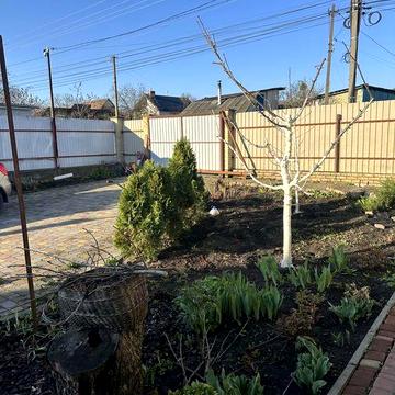 Сдам частину будинку в Петропавлівській Борщагівці