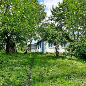 Сдам дом в с. Дидовщина, Фастовского р-на с печкой и газом для переселенцев.