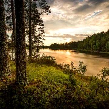 Участок под застройку дом у леса и реки дом под снос
Продается огром