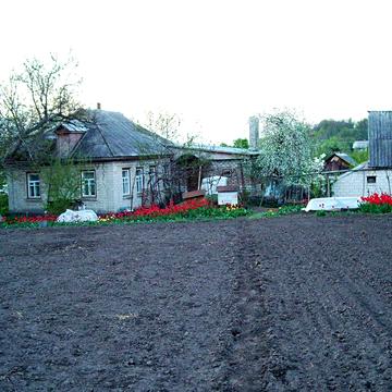 Продаю просторий будинок в 7 хв від центра Сміли на авто + садиба, сад