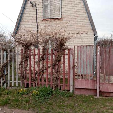 Сдам дачу село Бабурка