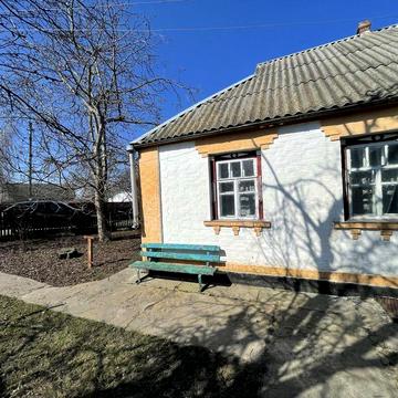 Затишний цегляний будинок із великою ділянкою в Гребінках