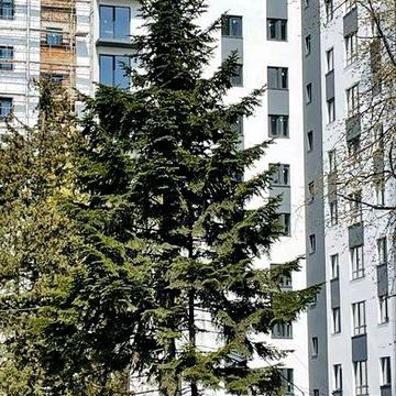 1 кім.квартира на етапі здачі, біля 16 ліцея_ol ЖК Урожайний